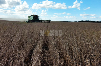 Con rindes alentadores comenzó lentamente la cosecha de la soja