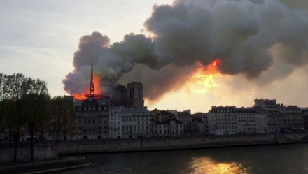 notre.jpg