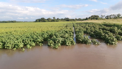 Cambio climático, deforestación e inercia: cóctel explosivo para el futuro del Chaco