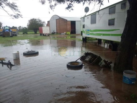 campo anegado 2.jpg