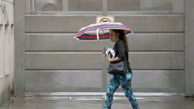La lluvia se despediría de la región con importantes registros en el interior