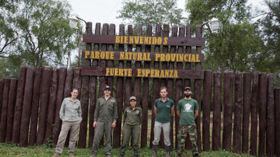 Yaguareté: acciones que se llevan adelante para su conservación