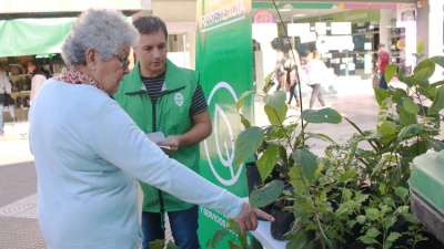 Reciclaje, forestación y concientización, en la política ambiental de Resistencia