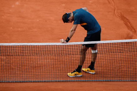 delpo.jpg