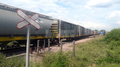 Avia Terai: maestría del chofer de un tren de carga que frenó a tiempo