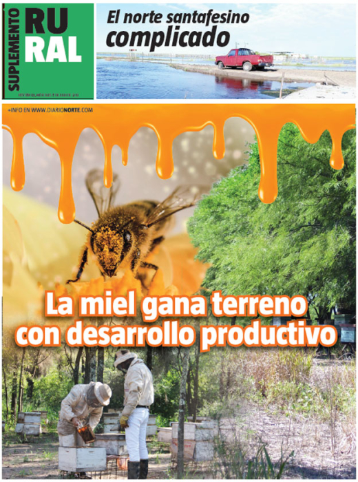 La miel gana terreno con desarrollo productivo