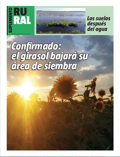 Confirmado: el girasol bajará su área de siembra