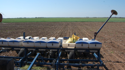 El día del agricultor, en el Chaco castigado por el clima pero con fe y esperanza