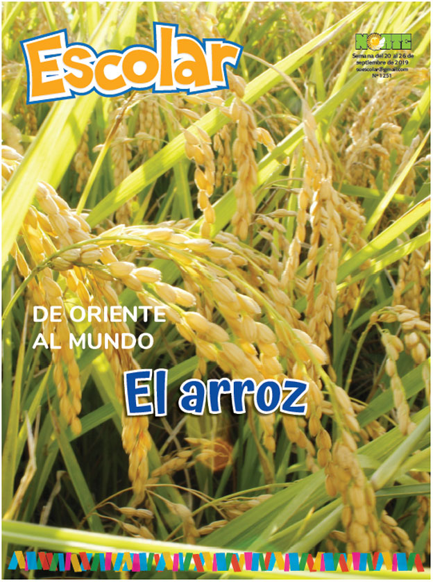 De oriente al mundo: El arroz 