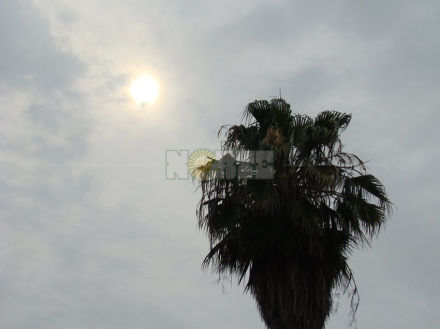 lluvia Rcia 3.jpg
