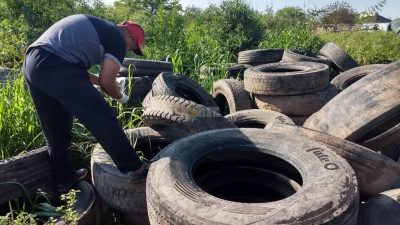 Misiones: confirman 35 casos de dengue y dos corresponden al serotipo 2