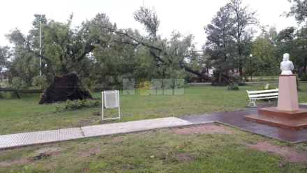 Du Graty tormenta 1.JPG