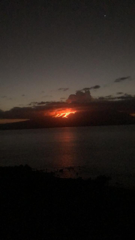 galapagos4.jpg