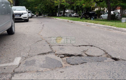 bache 5.JPG