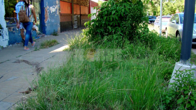 Resistencia, en el abandono