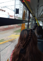 colectivos.jpg