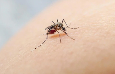 Al menos 29 casos de dengue confirmados en la provincia
