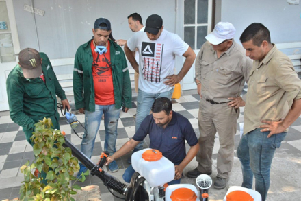 dengue.jpg