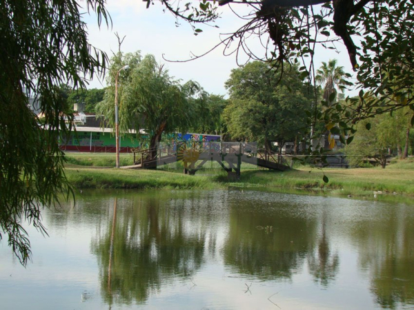 Foto 2