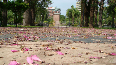 Confirmaron seis nuevos casos en la provincia