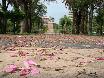 resistencia02.jpg