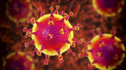 coronavirus-covid-19.jpg