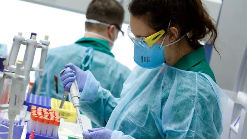 OMS: comenzarán los ensayos en 600 hospitales con más de 1200 pacientes