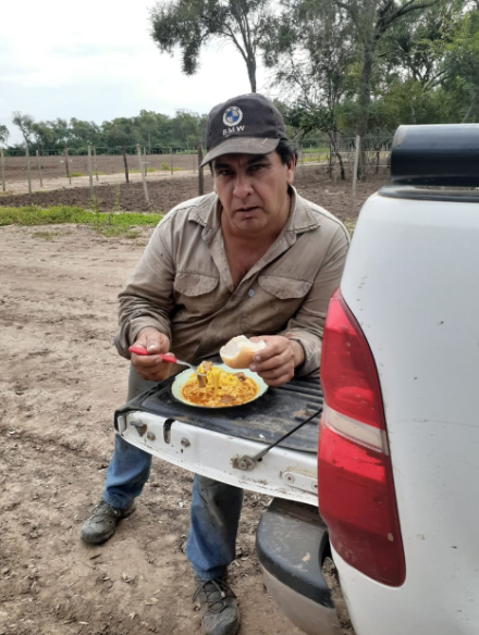 comer-en-el-campo.jpg
