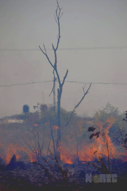 fuego5.jpg