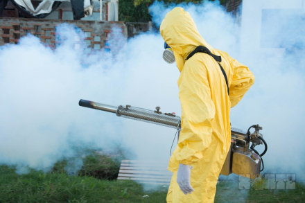 dengue01.jpg
