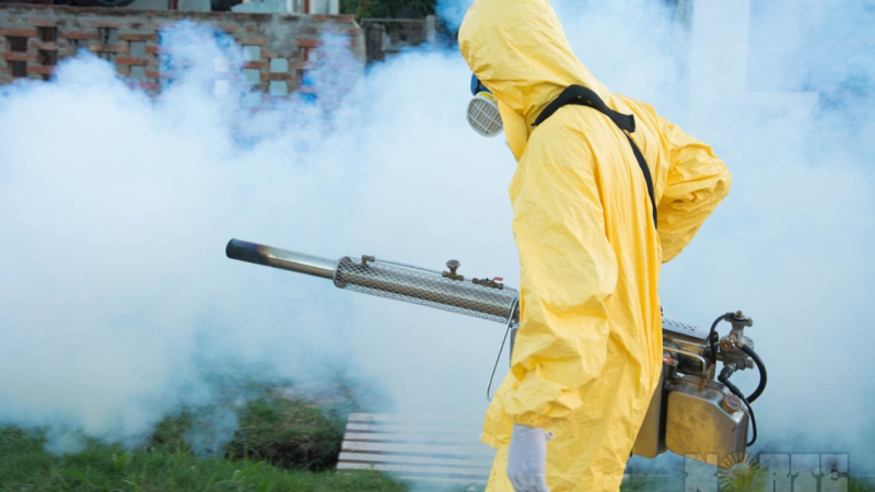 Otra batalla en el escenario provincial: el Chaco suma 45 casos de dengue en menos de 24 horas