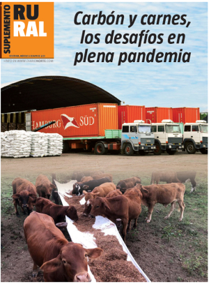 Carbón y carnes, los desafíos en plena pandemia