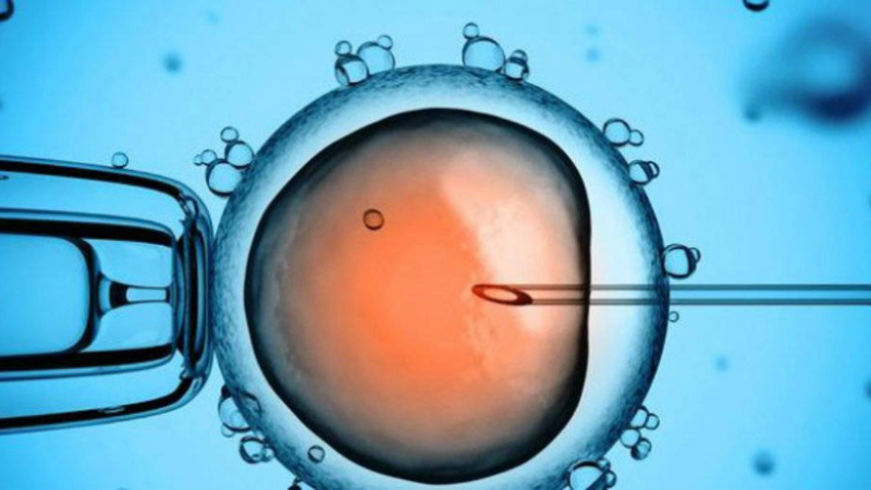 Cuarentena: demoras de tratamientos de fertilidad genera angustia en parejas que buscan un hijo
