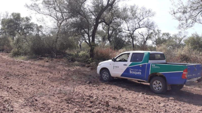 Inspectores de Bosques detienen un desmonte ilegal en plena cuarentena
