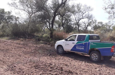 Inspectores de Bosques detienen un desmonte ilegal en plena cuarentena