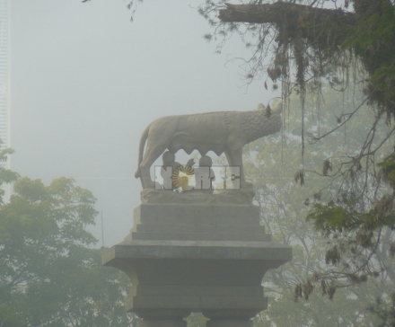 niebla.jpg