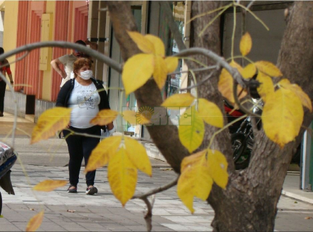 Resistencia hojas.JPG