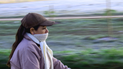 Invierno apto para friolentos: sin fríos rigurosos ni demasiadas lluvias