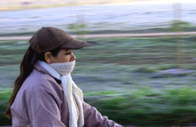 Invierno apto para friolentos: sin fríos rigurosos ni demasiadas lluvias