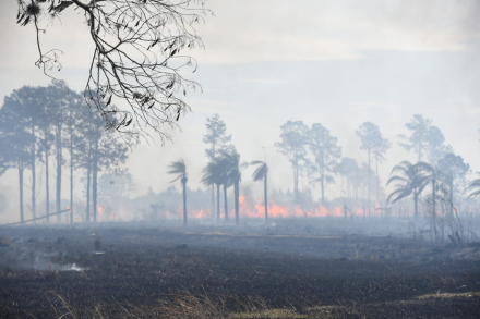 incendio4.jpg