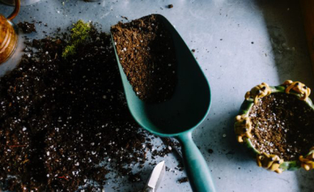 compost4.jpg