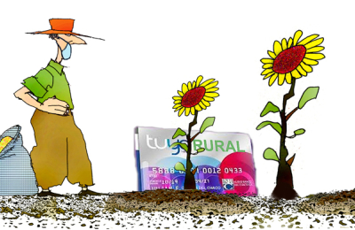Se viene el girasol, se viene!