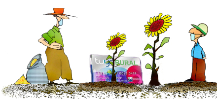 Dibujo-mirando-girasol.jpg