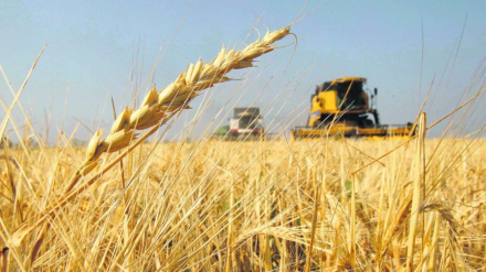 agro01.jpg