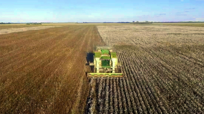 El impacto de la pandemia se hace sentir en el sector agropecuario