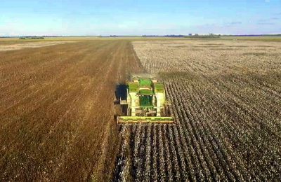 El impacto de la pandemia se hace sentir en el sector agropecuario
