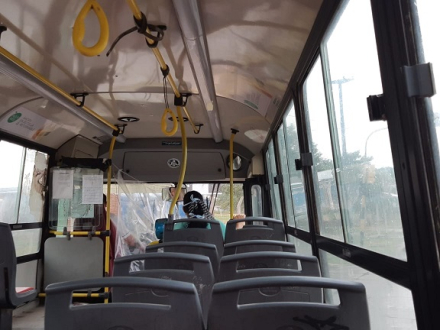 colectivo.jpg