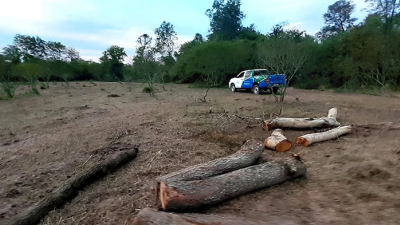 En cuarentena, el control de los bosques del Chaco generó 189 detecciones de cambio de cobertura boscosa