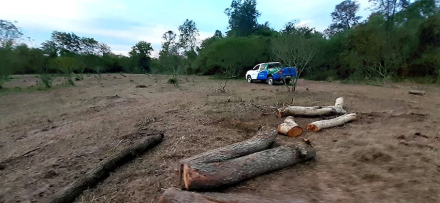 Operativo-Bosques1.jpg