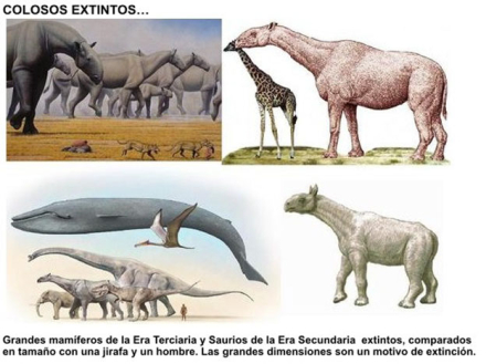 escolar3.jpg
